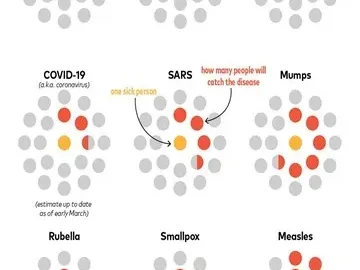 Market Commentary: Covid Timeline And Implications | Fountainhead Asset Management
